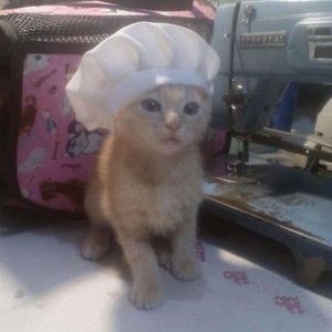 Meet your Posher, Emy